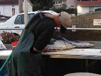 Whale Watching Depoe Bay 